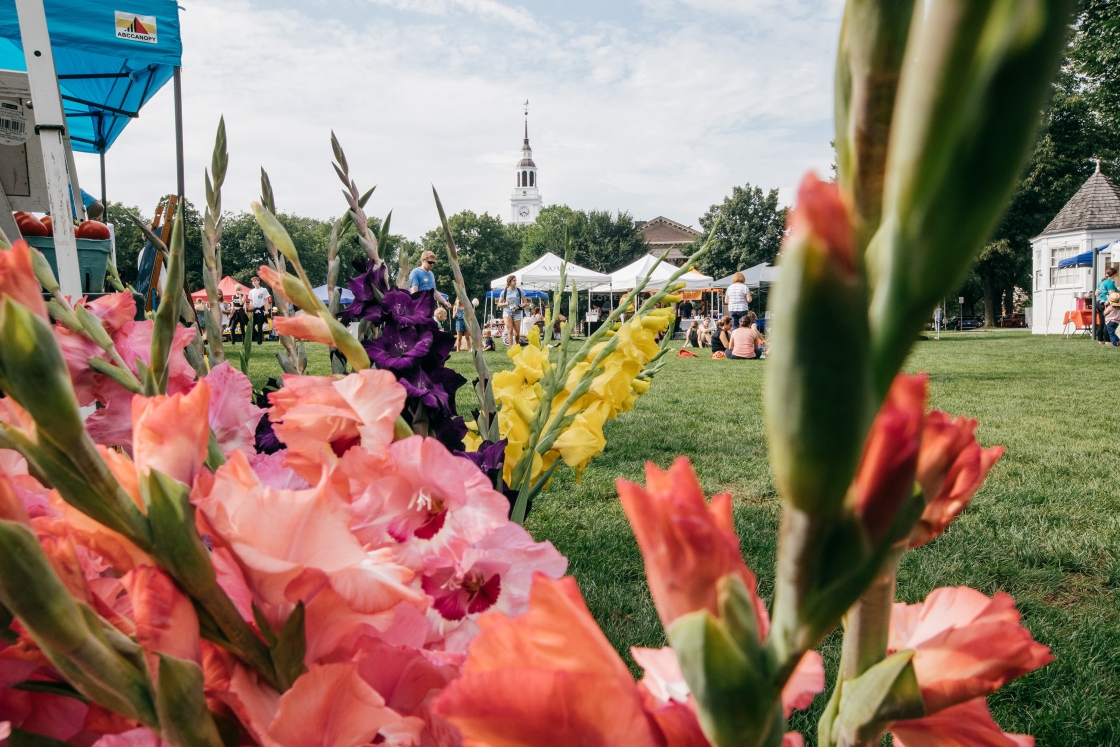 Flowers and tents at the Farmers Market