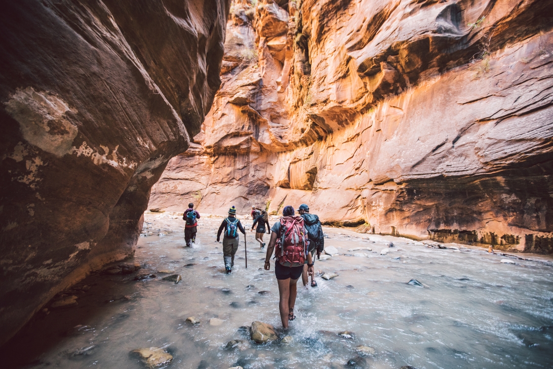 Students hiking in the water of the Narrows in Zion National Park.