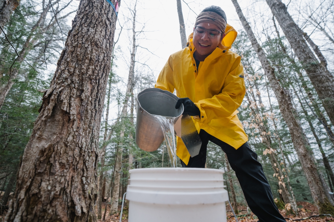 Logan Reano '23 pours collected sap into buckets