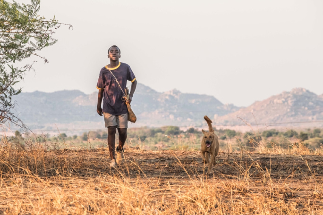 A scene from The Boy Who Harnessed the Wind.