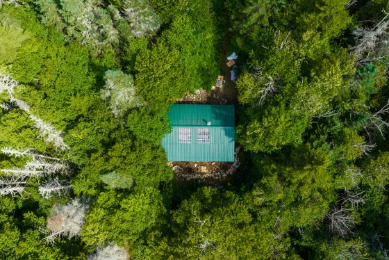 Aerial view of the John Rand cabin amongst trees