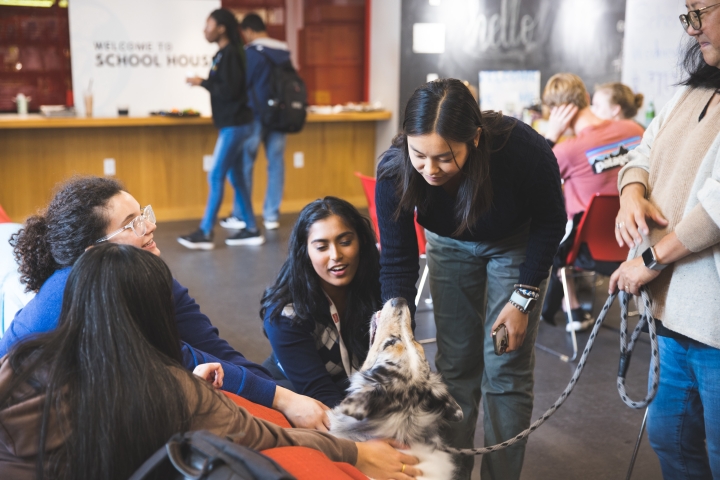 Students pet an Australian Shepard for a house community event