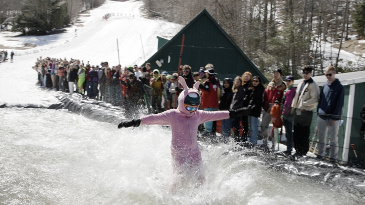 A person dressed as a bunny skims water on skis