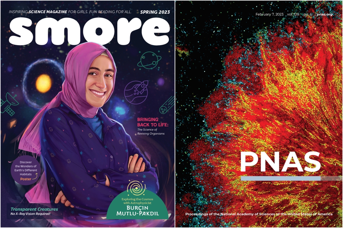 Two science magazine covers featuring Dartmouth researchers