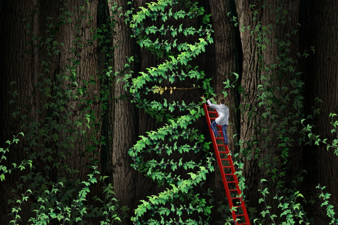 Man on a red ladder climbing a tree wrapped in dna-shaped ivy