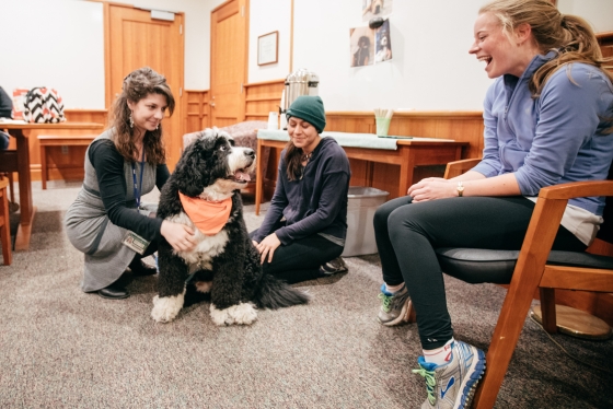 Carter the dog enjoys the attention of students