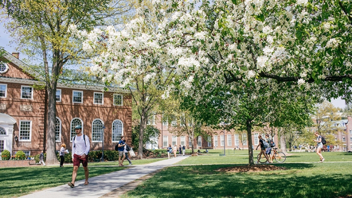 students walking outside on a sunny spring day as trees blossom